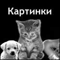 MrMobile.ru - Java-����, �������, ��������!!!