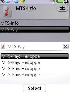   MTS-Pay    MTS-Pay  