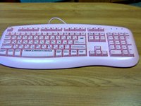  Nokia 6600 Fold   