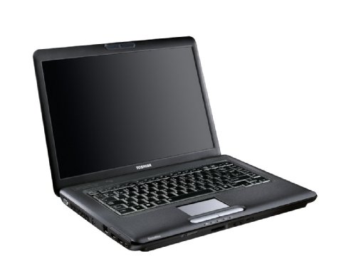 Toshiba A300