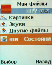  Samsung B320   