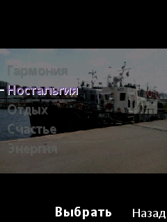  Sony Ericsson Yari