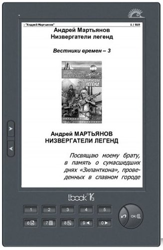 Pocket Book 302