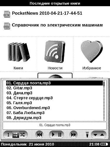 Pocket Book 302