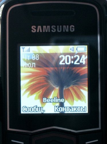    Samsung GT-E1081T:    