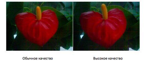   2010-08-10  2.24.10
