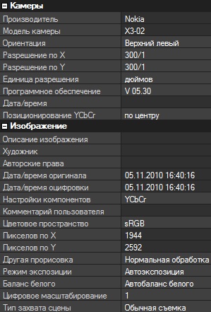 Nokia X3-02
