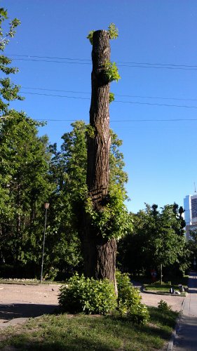  HTC Sensation