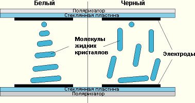 Монохромный дисплей что это такое. Смотреть фото Монохромный дисплей что это такое. Смотреть картинку Монохромный дисплей что это такое. Картинка про Монохромный дисплей что это такое. Фото Монохромный дисплей что это такое