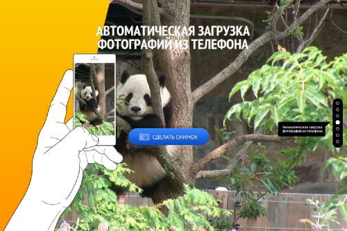    Mail.Ru