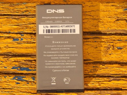 DNS S1:    