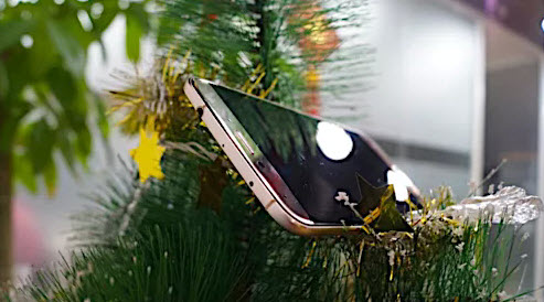      #36: - Apple,    -     