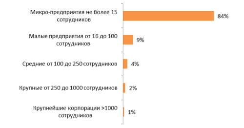 Структура по размеру предприятий