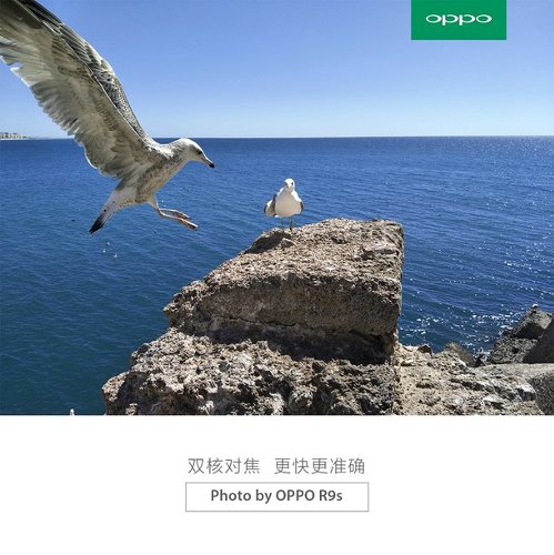  : OPPO R9s   Sony IMX398   f/1.7 ( )