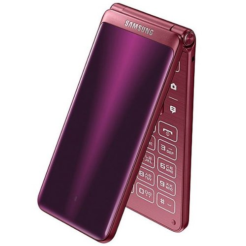 :  Samsung Galaxy Folder 2      