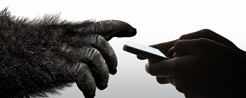 : Corning Gorilla Glass 6     