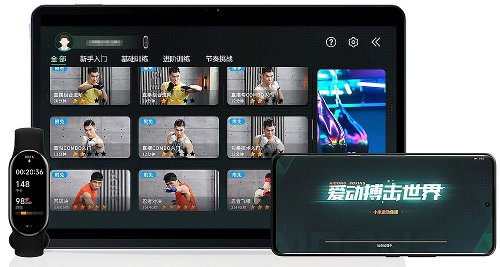 : Xiaomi Band 8  