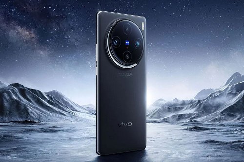 : Vivo X100  Vivo X100 Pro   