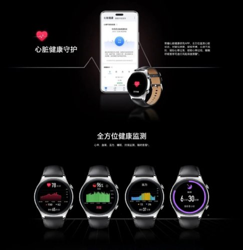 : Honor Watch GS 4  