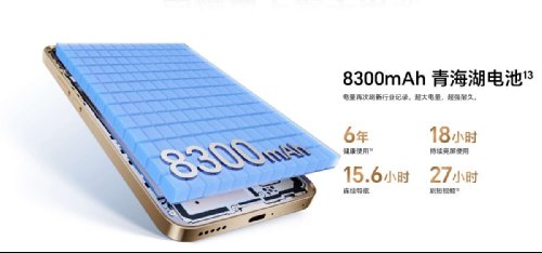 : Honor X70  