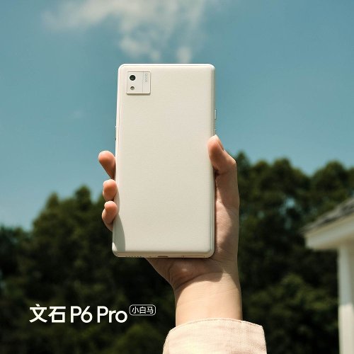 :   Onyx Boox P6 Pro     