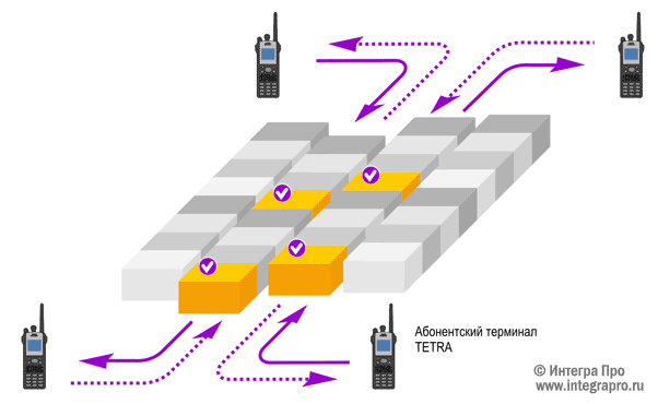 Структура радиоинтерфейса стандарта TETRA в режиме DMO. (c) Интегра Про
