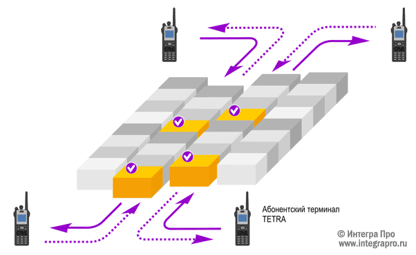    TETRA   DMO. (c)  