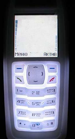  Nokia 3100   -       .
,     ,   .