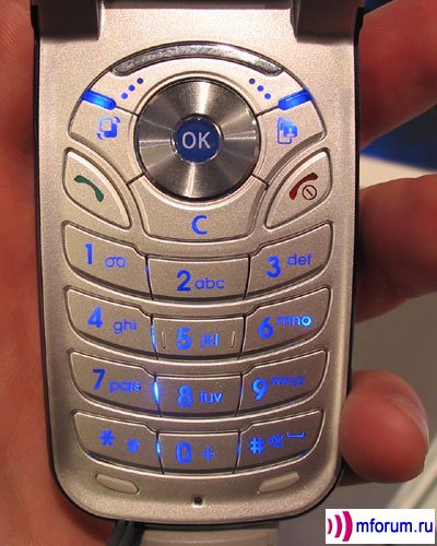 Samsung SGH-Z300