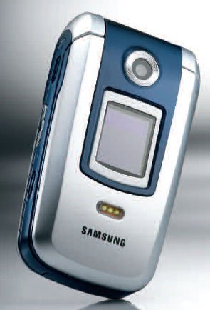 Samsung SGH-Z300