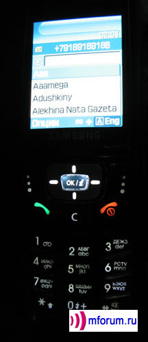 Samsung SGH-D500