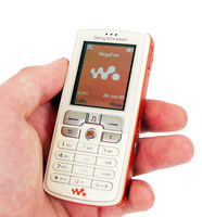    Sony Ericsson W800