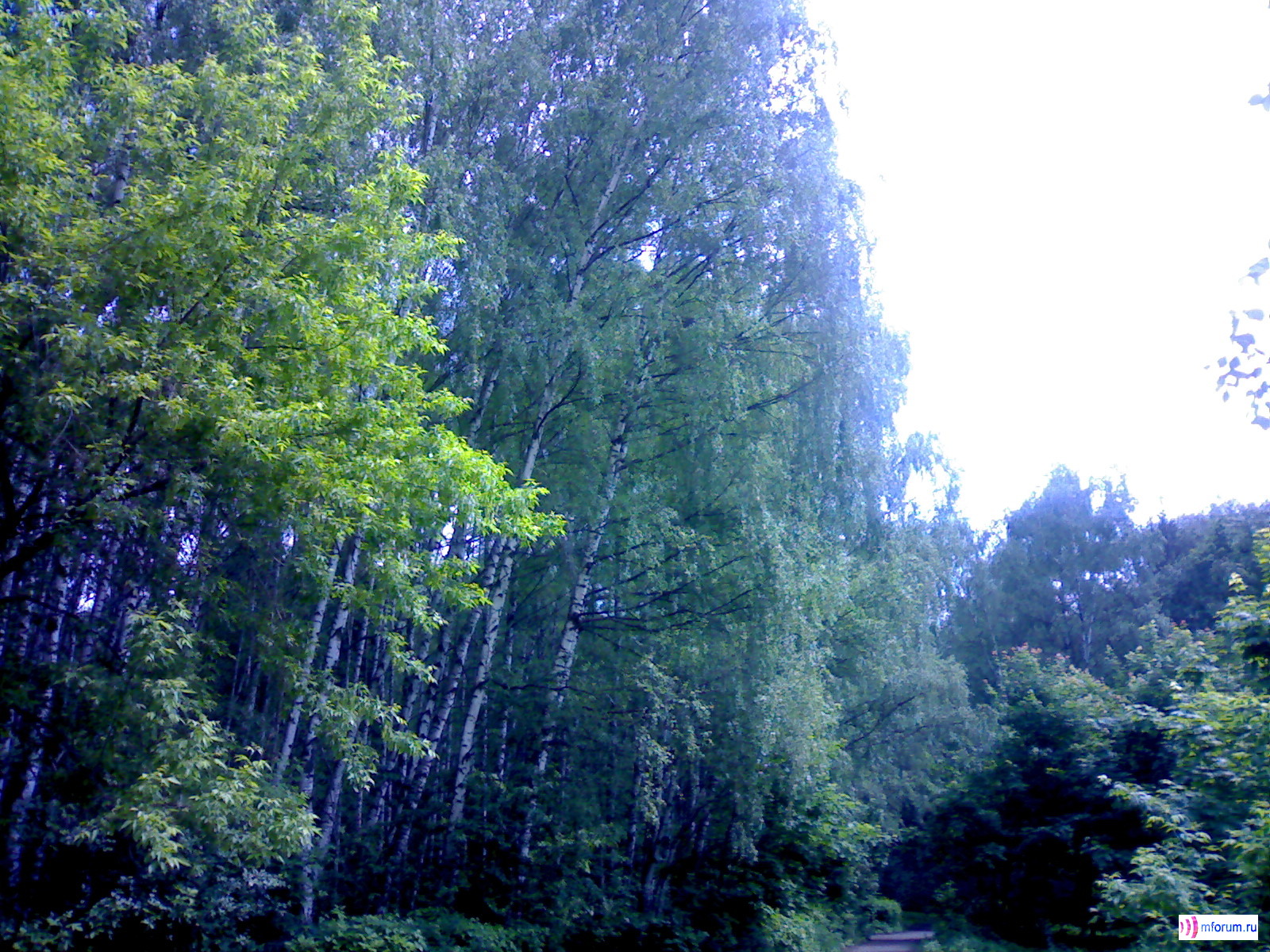    Nokia N70