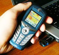 
  Motorola C390