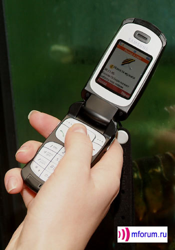    Samsung SGH-E530 c    i-Free