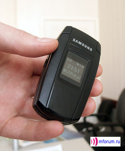    Samsung SGH-X300