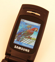    Samsung SGH-X200