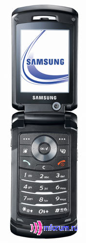   Samsung SGH-Z540