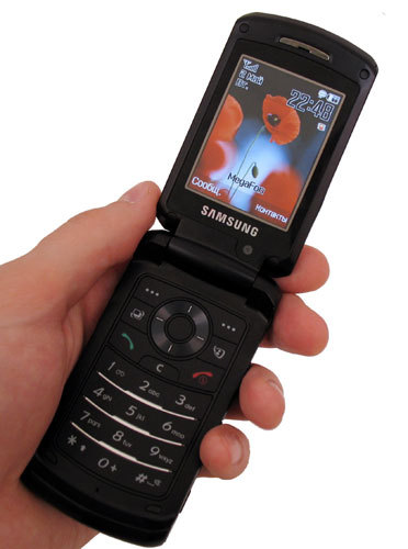   Samsung SGH-Z540