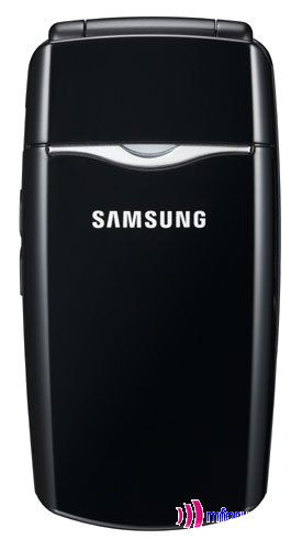    Samsung SGH-X210