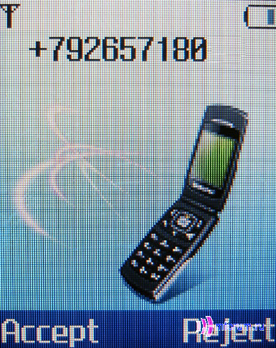    Samsung SGH-X210