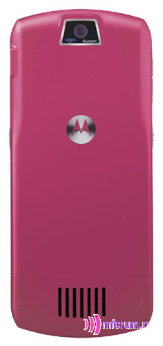 : Motorola   -      