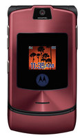 : Motorola   -      