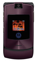 : Motorola   -      