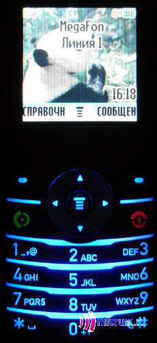 Motorola W208