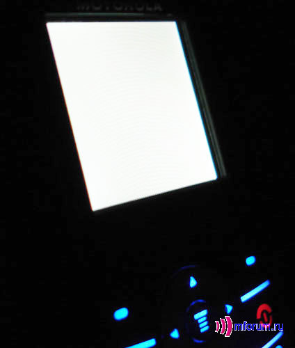 Motorola W208