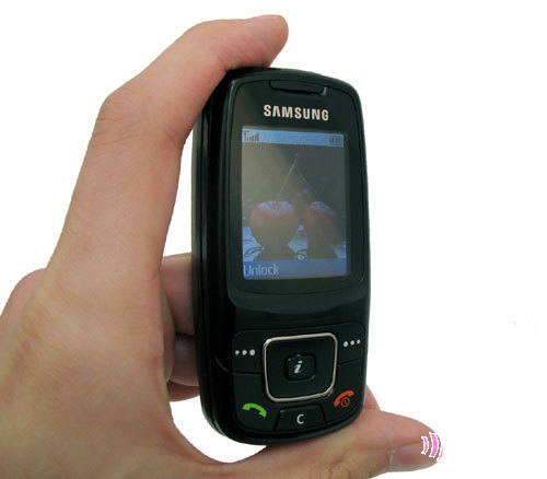 Samsung SGH-C300