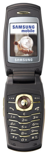 Samsung SGH-E500