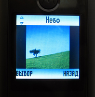    Motorola W205