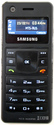 Samsung SGH-F300